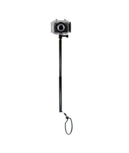 SELF TIME ACCESORY FOOLISH/F-60/MINI F - 1