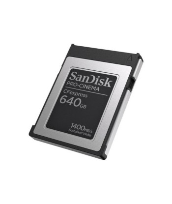 Sandisk Pro-Cinema 640GB