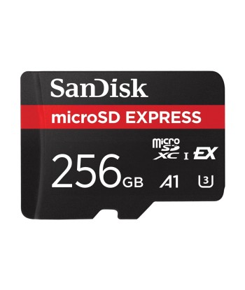 Micro SD SANDISK Express 256GB - 1