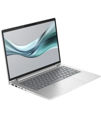 Portátil HP EliteBook 645 G11 Ryzen 5 PRO