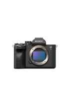 DSLR / Mirrorless